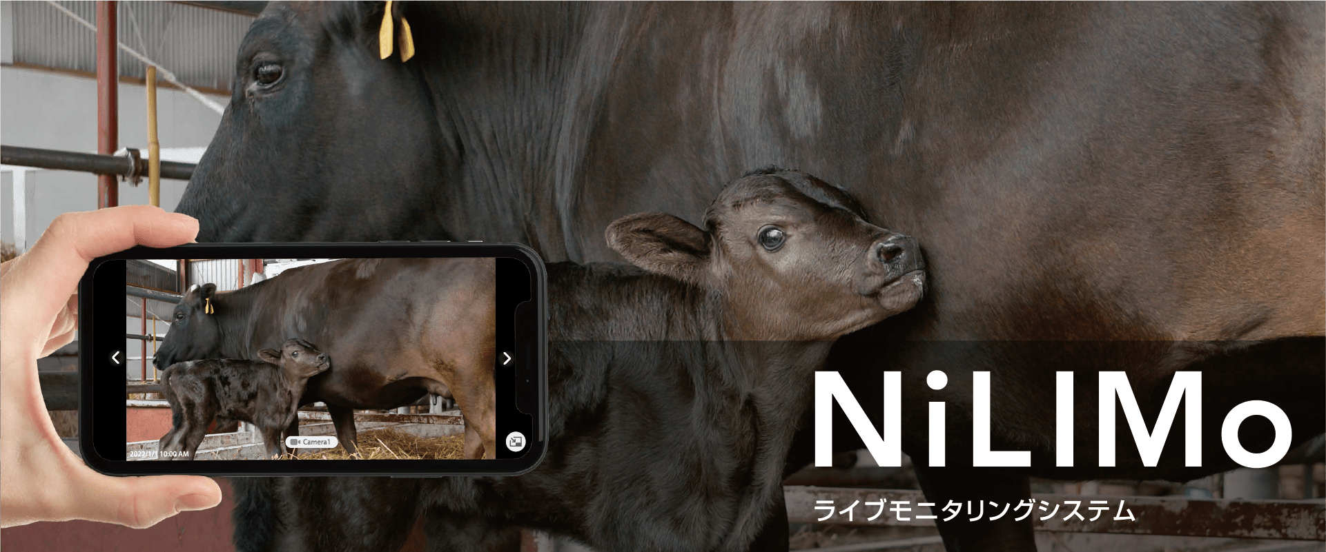ライブモニタリングシステム NiLIMo